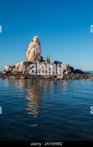 Blick auf eine kleine Vogelinsel mit Cardon Cactus (Pachycereus pringlei) und Heermann's Gull (Larus heermanni), braunen Pelikanen (Pelecanus occidentalis), Stockfoto