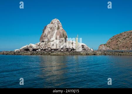 Blick auf eine kleine Vogelinsel mit Cardon Cactus (Pachycereus pringlei) und Heermann's Gull (Larus heermanni), braunen Pelikanen (Pelecanus occidentalis), Stockfoto