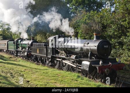 Ein Doppelkopfzug mit 6960 Raveningham Hall und 7822 Foxcote Manor, der auf der West Somerset Railway einen Regen in Richtung Minehead zog. Stockfoto