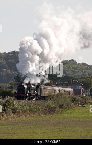 Ein Doppelkopfzug mit 6960 Raveningham Hall und 7822 Foxcote Manor, der auf der West Somerset Railway einen Regen in Richtung Minehead zog. Stockfoto