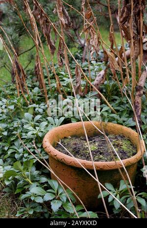 Tontopf gefüllt mit Erde im Garten Stockfoto