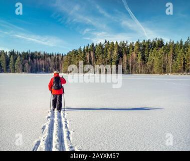 Einsame weibliche Skilangläuferin auf einem See Stockfoto