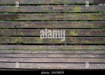 Rückseite einer Gartenbank aus alten, mit Algen bedeckten Holztafeln Stockfoto