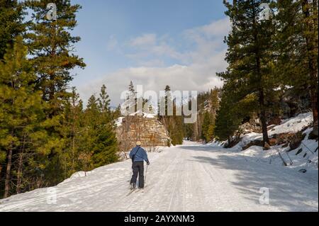 Woman (Modellversion 20020923-10) Skilangläufer auf dem Icicle River Trail in Leavenworth, Eastern Washington State, USA. Stockfoto