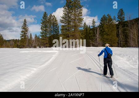 Woman (Modellversion 20020923-10) Skilangläufer auf dem Icicle River Trail in Leavenworth, Eastern Washington State, USA. Stockfoto