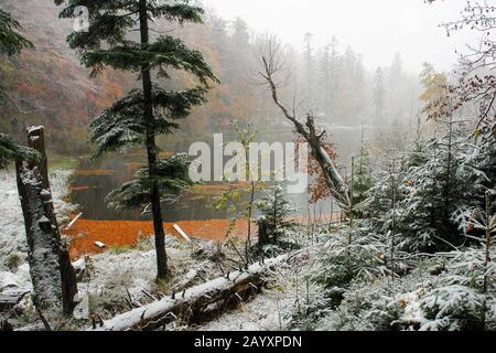 Schnee im Herbstsee Stockfoto