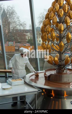 Frau taucht im Imhoff-Schokoladenmuseum (Imhoff-Schokoladenmuseum) im Kölner Stadtteil Altstad Waffeln in den Schokoladenbrunnen Stockfoto