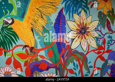 Medellin, Kolumbien - 08. Januar 2020: Graffiti-Wandbild eines Vogels in einem Haus in Medellin, Kolumbien. Stockfoto