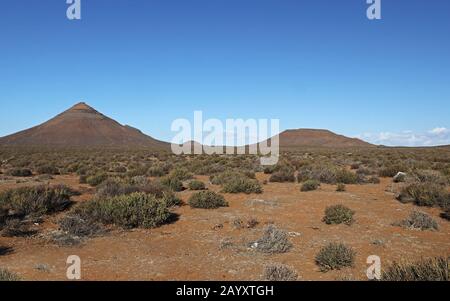 Blick über Karoo Habitat zu erodierten Hügeln Karoo, Northern Cape, Südafrika November Stockfoto