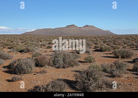 Blick über Karoo Habitat zu erodierten Hügeln Karoo, Northern Cape, Südafrika November Stockfoto