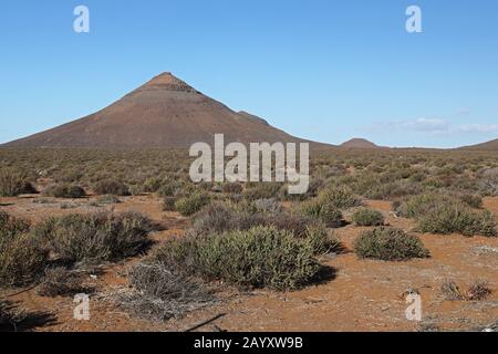 Blick über Karoo Habitat zu erodierten Hügeln Karoo, Northern Cape, Südafrika November Stockfoto