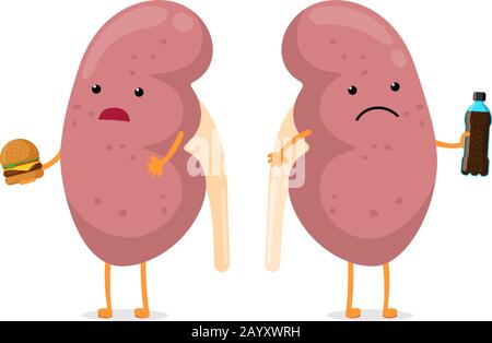 Traurige ungesunde Nieren krank Charakter halten in der Hand Fast Food Soda Getränke Flasche und Burger. Menschliche Anatomie Urogenitalsystem innere kranke Organ. Vektor schlechte Ernährung sucht Cartoon Illustration Stock Vektor