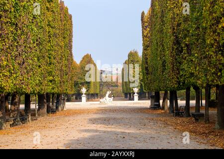 In geometrischen Formen beschnittene Bäume entlang eines Spazierweges im Schönbrunn-Park, Wien, Österreich. Pool im Hintergrund, Herbstfarben. Stockfoto