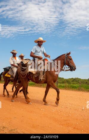 Pantaneiros (brasilianische Cowboys) am Transpantaneira Highway im nördlichen Pantanal, Provinz Mato Grosso in Brasilien. Stockfoto