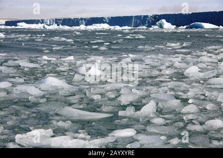 Spitzbergen Eis Stockfoto