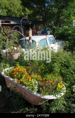 Eine mit Blumen bepflanzte Badewanne und ein alter Polizeiwagen in den Büschen der historischen Goldkönigsmine und der Geisterstadt von den 1890-er außerhalb von Jerome Stockfoto