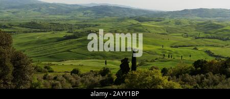 Panoramabild des Val d'Orcia mit italienischen Zypressenbäumen (Cupressus sempervirens) aus Pienza in der Toskana, Italien. Stockfoto