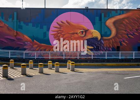 Medellin, Kolumbien - 08. Januar 2020: Graffiti-Wandbild eines Vogels auf einem Haus im Departamento de Antioquia, Medellin, Kolumbien Stockfoto