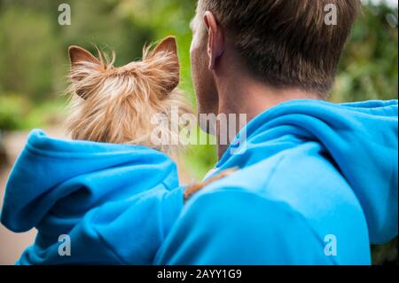 Hund und Besitzer in passenden blauen Hoodies im Freien im hellgrünen Parkhintergrund Stockfoto