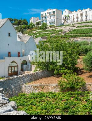 Malerische Anblick in Locorotondo, Provinz Bari, Apulien (Puglia), Süditalien. Stockfoto