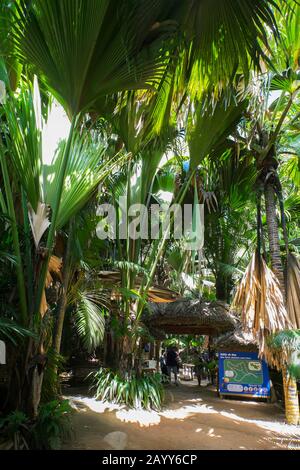 Eintritt zum Welterbe Vallee de Mai im Praslin National Park, einem Wunderland von Palmen auf der Insel Praslin auf den Seychellen Stockfoto