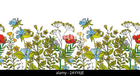 Nahtlose Vektor-Blumenumrandung mit farbigen Kräutern und wilden Blumen. Kräuterblatt aromatische Blume und Illustration organische Blume nahtlos Stock Vektor