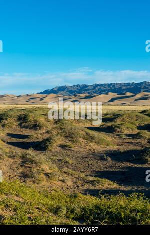 Blick auf die Sanddünen der Hongoryn Els in der Wüste Gobi im Süden der Mongolei. Stockfoto