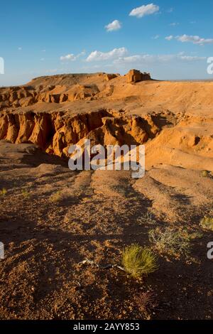 Die orangefarbenen Felsen von Bayan Zag, die im Allgemeinen als Flaming Cliffs in der Wüste Gobi, der Mongolei, bekannt sind und in denen wichtige Dinosaurier-Fossilien gefunden wurden. Stockfoto