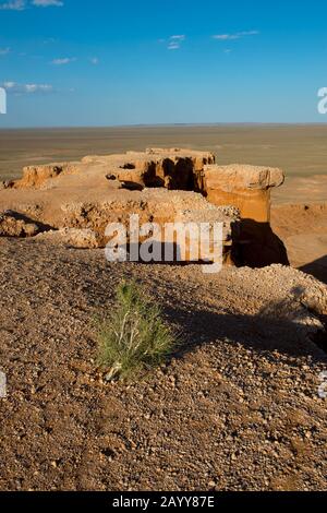 Die orangefarbenen Felsen von Bayan Zag, die im Allgemeinen als Flaming Cliffs in der Wüste Gobi, der Mongolei, bekannt sind und in denen wichtige Dinosaurier-Fossilien gefunden wurden. Stockfoto