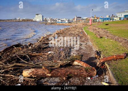 Auf der Küstenlinie der Cardiff Bay wuchern Trümmer und Treibholz, nachdem Storm Dennis die Flüsse Taff und Ely gefüllt hatte Stockfoto