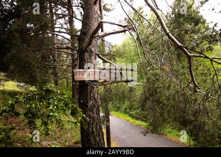 Schild mit Privateigentum (Propietat Privada) mitten im Wald, in der Nähe des Dorfes Encamp, in Andoora - Pyrenäengebirge Stockfoto