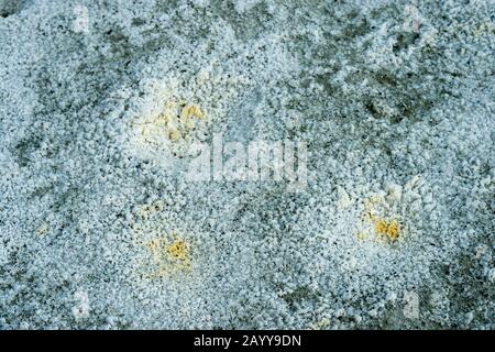 Mineralkristalle bilden sich an einer ausgetrockneten Lagune am Tolbo-See im Altai-Gebirge nahe der Stadt Ulgii (Ölgii) in der Provinz Bayan-Ulgii in west Stockfoto