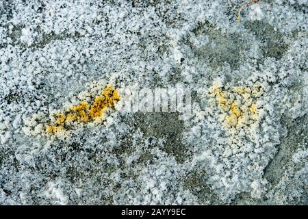 Mineralkristalle bilden sich an einer ausgetrockneten Lagune am Tolbo-See im Altai-Gebirge nahe der Stadt Ulgii (Ölgii) in der Provinz Bayan-Ulgii in west Stockfoto