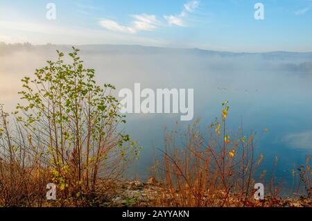 Weiße Schwäne an einem bunten See Stockfoto