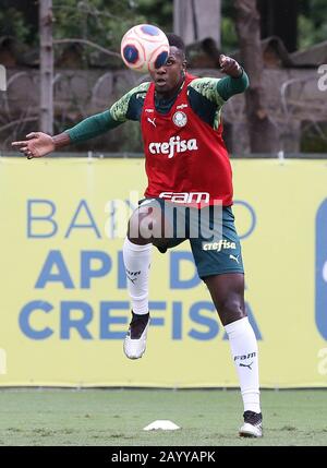 Sao Paulo, Brasilien. Februar 2020. Pedrão, von SE Palmeiras, während des Trainings an der Fußball-Akademie. Credit: Foto Arena LTDA/Alamy Live News Stockfoto