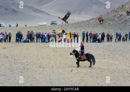 Wie sich Adler auf dem Goldenen Adler-Festival in der Nähe der Stadt Ulgii (Ölgi) dem Jägerwettbewerb (der Adler muss auf der Hand des Jägers landen) anpasst Stockfoto