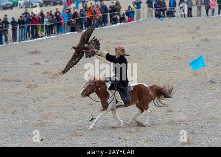 Wie sich Adler auf dem Goldenen Adler-Festival in der Nähe der Stadt Ulgii (Ölgi) dem Jägerwettbewerb (der Adler muss auf der Hand des Jägers landen) anpasst Stockfoto