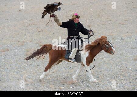 Wie sich Adler auf dem Goldenen Adler-Festival in der Nähe der Stadt Ulgii (Ölgi) dem Jägerwettbewerb (der Adler muss auf der Hand des Jägers landen) anpasst Stockfoto