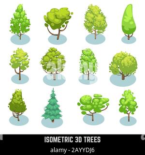 Isometrische 3D-Bäume, Querformatelemente. Natürliche Bäume setzen und Pflanzen isometrischen Baumgarten. Vektorgrafiksatz Stock Vektor
