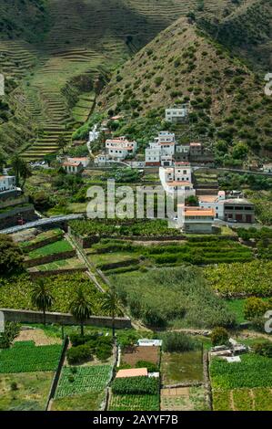 Felder und Häuser am steilen Hang entlang der Küste bei Vallehermoso auf der Insel La Gomera, die zu den Kanarischen Inseln Spaniens gehört, finden sich Stockfoto