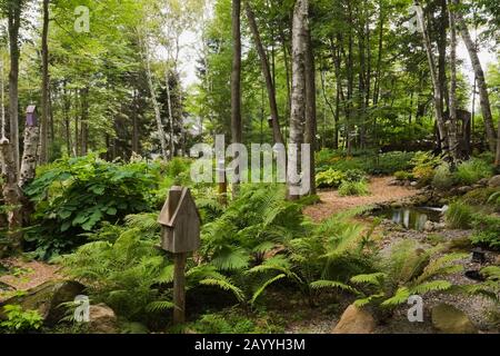 Wald mit Vogelhäuschen an Baumstümpfen und Pteridophyta - Ferns im Hinterhofgarten im Sommer. Stockfoto