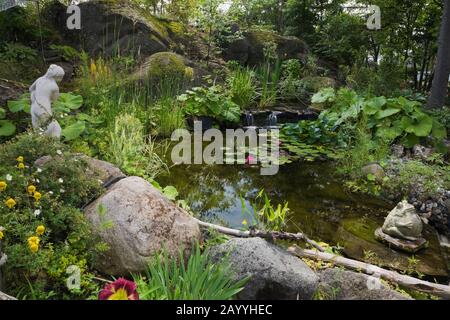 Teich mit Pondeteria cordata - Pickerel Weed, Nymphaea - Seerosen, Typha latifolia - Common Cattails und Petasiten japonicus - Buttetbur. Stockfoto