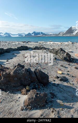 Überreste der Blubber Kocheries an einem Strand in Smeerenburg, Amsterdam Island im Nordwesten Svalbards, einer ehemaligen Walfangstation, die ihren Ursprung in Dänisch A hat Stockfoto