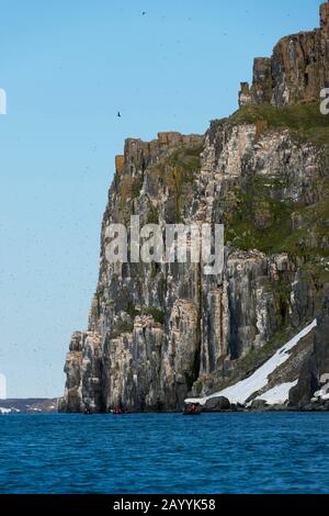 Blick auf die Vogelklippe Alkefjellet bei Lomfjordhalvøya in Ny-Friesland bei Spitzbergen, Spitzbergen, Norwegen, wo Tausende Dickflüssige Murren oder Brün Stehen Stockfoto