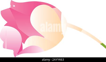 Silhouette einer rosafarbenen Rose Stock Vektor