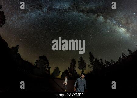 Der junge Mann beobachtet Sternenhimmel. Berge, umgeben von Kiefernwald in der Hintergrund-Nachtlandschaft mit farbenfroher Milchstraße Galaxie, Sternen, Ebene Stockfoto