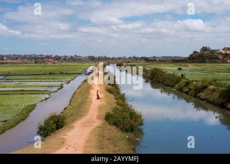 Kanalsystem und Reisfelder am Stadtrand von Antananarivo, der Hauptstadt von Madagaskar. Stockfoto