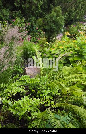 Englische Grenze mit Pteridophyta - Ferns, gelbem Helianthus - Sonnenblumen, Miscanthus - Ziergräser, rosafarbene Hydrangeas im Gutsgarten. Stockfoto