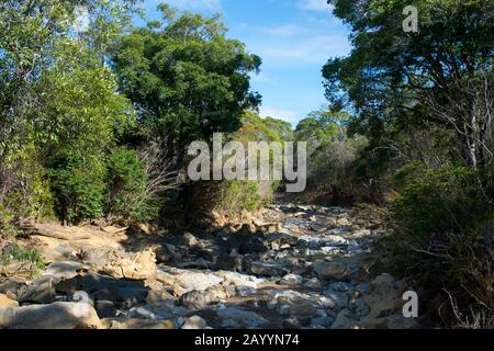 Leeres Flussbett während der Trockenzeit im Ankarana-Reservat im Norden von Madagaskar. Stockfoto