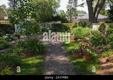 Schotterpfad mit Rand und Terrakotta-Pflanzmaschinen mit weißen, roten und violetten Petunia Blumen in einem angelegten Hinterhofgarten im späten Frühjahr. Stockfoto